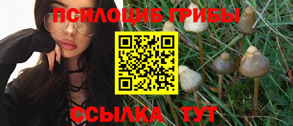 Дедовск  Галлюциногенные грибы Psilocybe  Вход с VPN  Галлюциногенные грибы мухоморы 